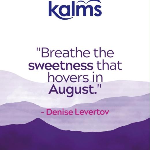 A little reminder to pause, breathe... 