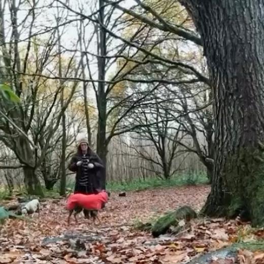 ✨ IT’S COMPETITION TIME! ✨... 