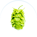 day-circular-hops